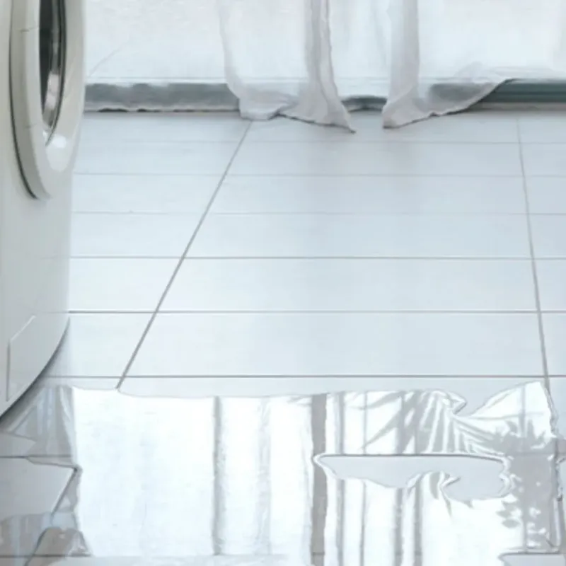 Appliance Leak Cleanup in Union County, KY