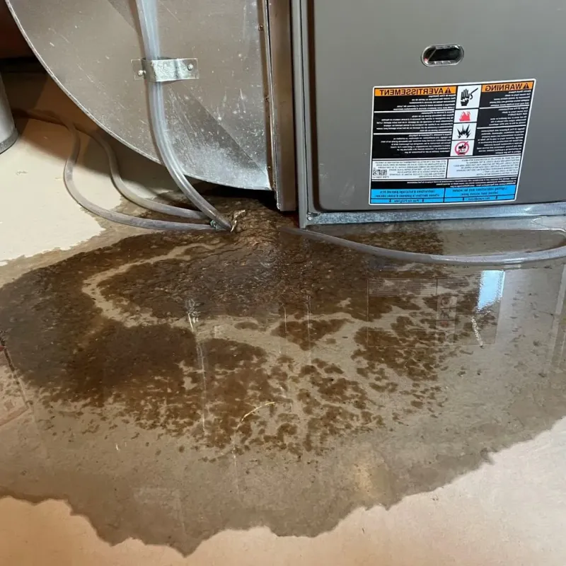 Pipe Burst and Leak Restoration in Union County, KY