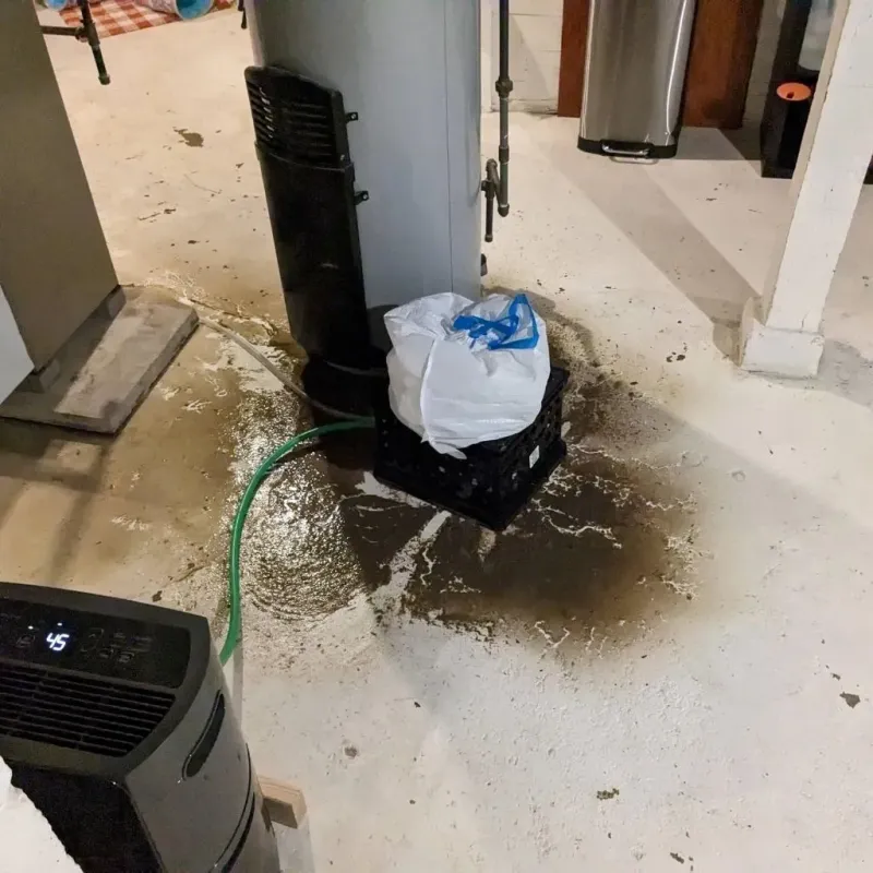 Sewage Backup Cleanup Service in Union County, KY